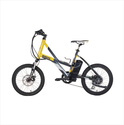 Bateria de pistola facial OEM 24V 2600Mah bateria removível para bicicleta elétrica